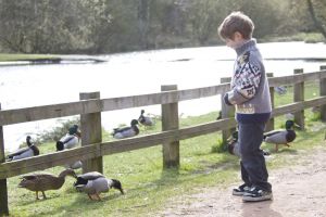 vicar water park image 4 sm.jpg
